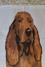 Glee Brown Workman - Irish Setter graphgan