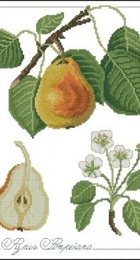 Il frutto del mese - Pyrus Pompeiana ricAmare magazine 2006  XSD + PCS