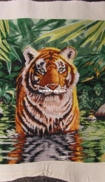 Wet tiger