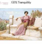 Golden Kite GK 1375 - Tranquillity