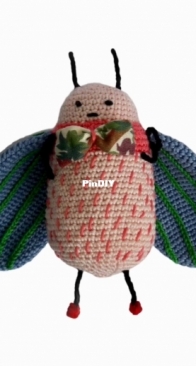 insect