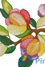 Sandra Magazine - blossom