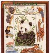 Anchor PSC-37 - Wildlife of the World