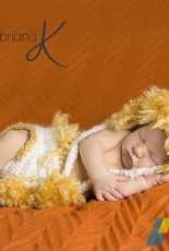 Briana K Crochet- Briana A Kepner- Lion Set