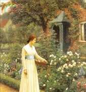 Golden Kite 1109 Summer Roses