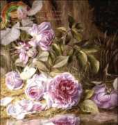 Golden Kite GK 1130 - Blairie Roses