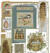 DMC BK279 Bird Sampler
