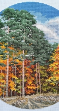 Autumn forest