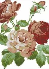 Roses From Kanavice 36 2014/04
