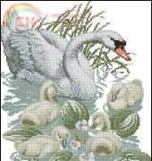 Pako 235-321 Swan & Signets