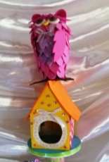 Owl in home