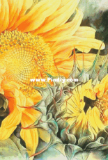 Art-goblen - Sunflower by S. Nedelcheva (С.Неделчева)