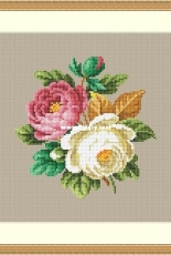Berlin Work Roses and Buds - Carl F.W.Wicht-1838-1858 - XSD + PCS