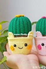 Lovely cactus