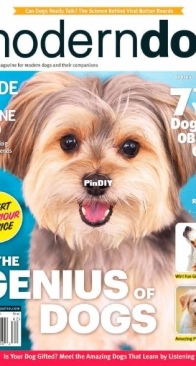 Modern Dog - Spring-Summer 2026