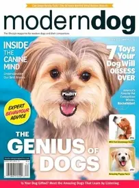 Modern Dog - Spring-Summer 2026