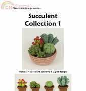 Planet June - June Gilbank - Succulent collection1