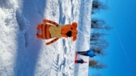 Chrochet tiger