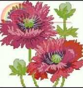 Elegant Poppies from TWOCS 220