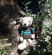 Bear!