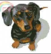 Dudley by Marv Schier