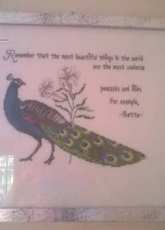 peacock in the study