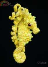 DBA Angelsun - Kelly Lynn Smith - Cammie the Pygmy Seahorse