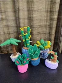 Crochet Plant set