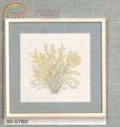 Gerda Bengtsson - 30-5760 - Forsythia