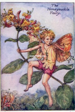 Tilton Crafts Honeysuckle Fairy (Flower Fairy Collection)