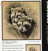 Dimensions 35253  Two Raccoon Cubs