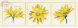 DMC BK872 Daisy Trio Close-Up