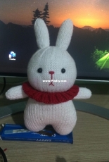 white rabbit