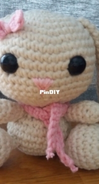 My sweet little bunny
