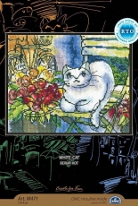 RTO M471 White Cat XSD