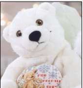 The teddy bear/ Mon Premier Ours