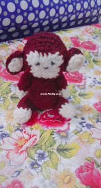 Little Monkey