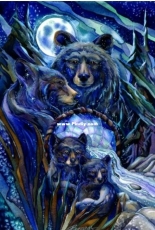 HAED HAEJB 4502  Journey to The Dreamtime - Jody Bergsma