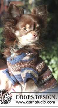 Drops Design - Little Watcher Dog Sweater - Spanish - Free