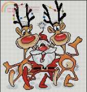 Santa Claus and Deers (Self-design)