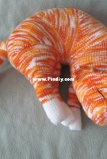Jingga the Orange Tabby Cat