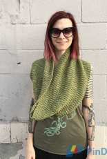 Group Stage Cowl by Ann Weaver -Free