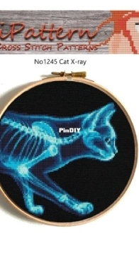 NikkiPattern N°1245 2 - Cat X-ray 2 - 2016 PCS + XSD