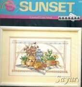 Dimensions 13550 Southwest Still Life