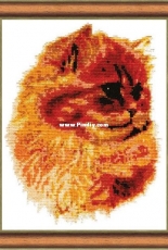 Zolotoe Runo NL-002 Our Pets - Ginger