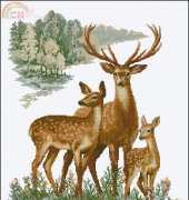 Riolis 1370 - Deer Family