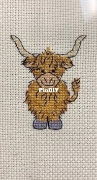 Highland cow