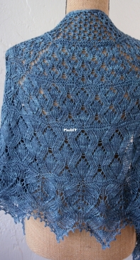 Darwin Shawl by verybusymonkey
