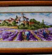 Lavender