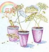 DMC XC0823-A - Fennels Flowers